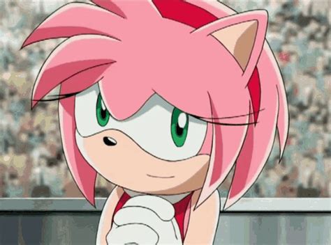 amy rose sex gif|Amy Rose Hentai Porn GIFs .